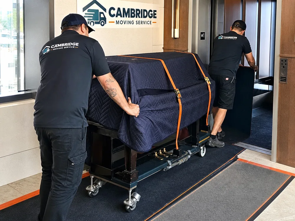 Piano being brought into a condo lobby over protective runners toward an elevator with adequate clearance